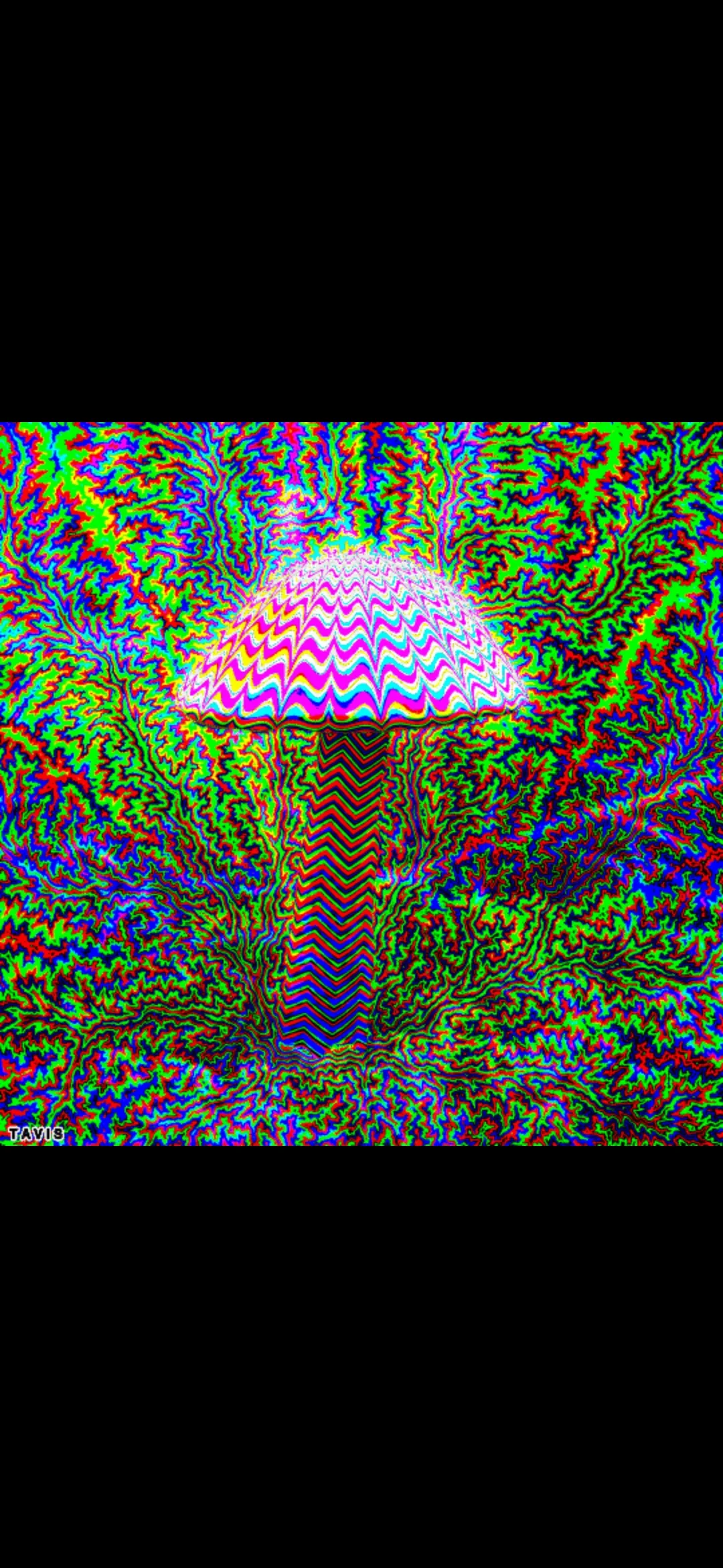 Mushinist