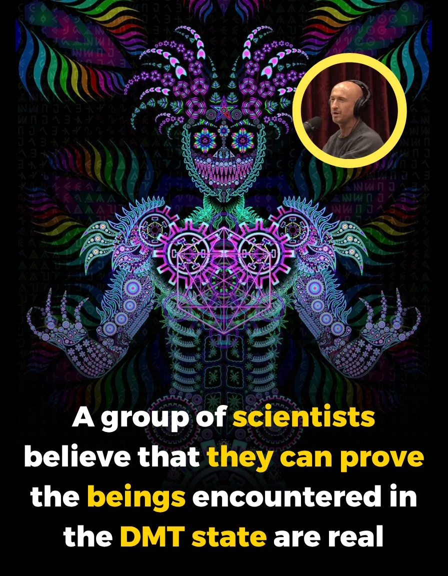 Are DMT Entites Real? These Scientist Think So And Are Trying To Prove It