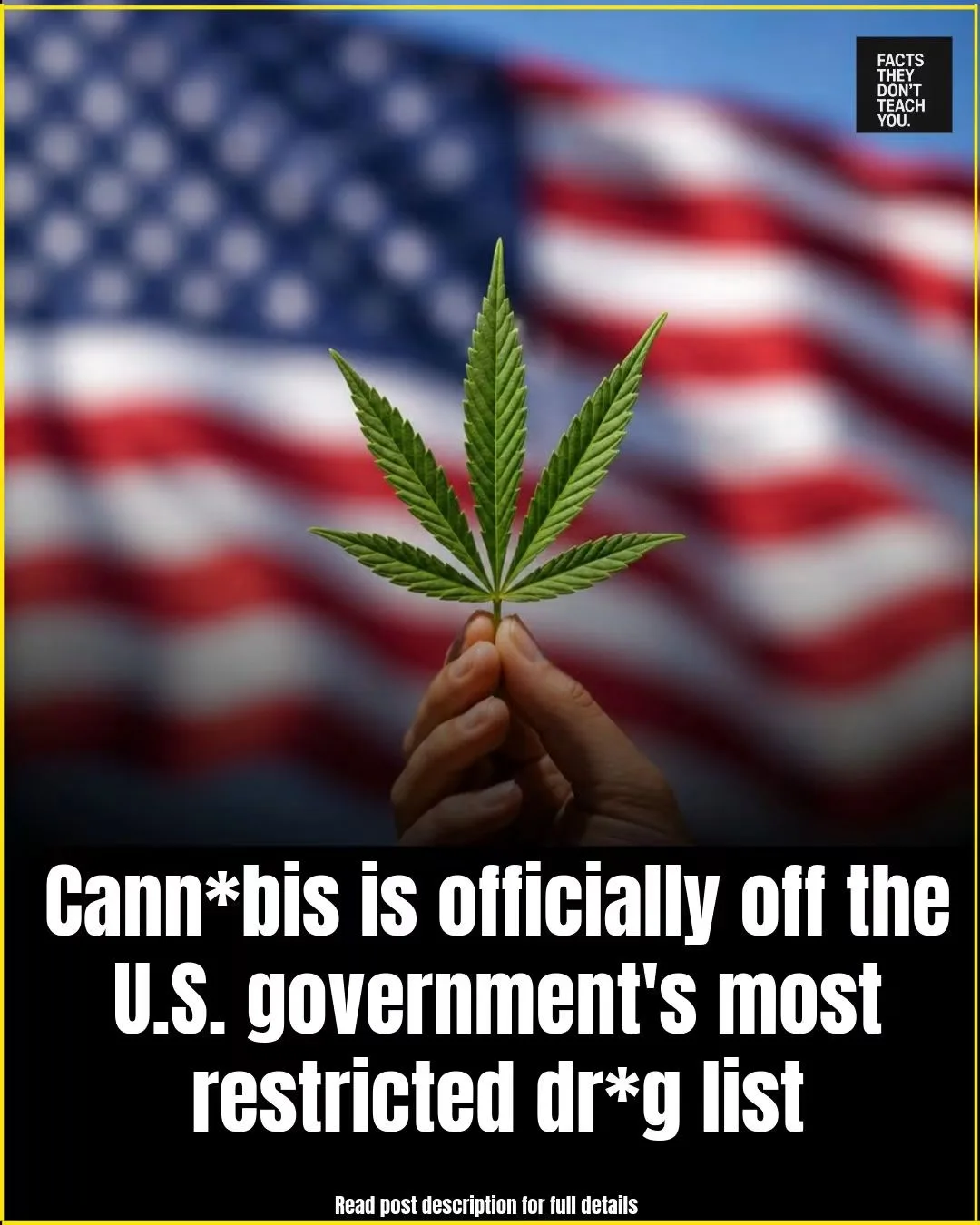 Cannabis In the US