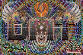 DMT belongs chemically to which class of compounds?