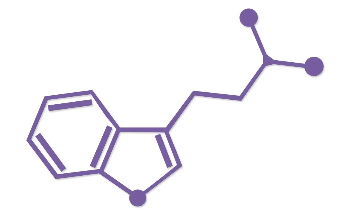 Why does DMT have little to no effect when taken orally by itself?