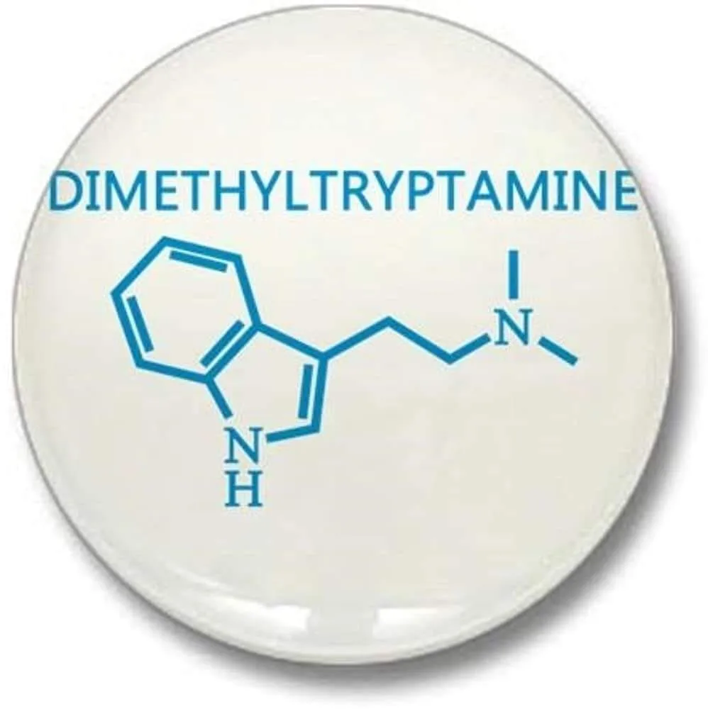 Why was DMT nicknamed the “businessman’s trip” in the 1960s?
