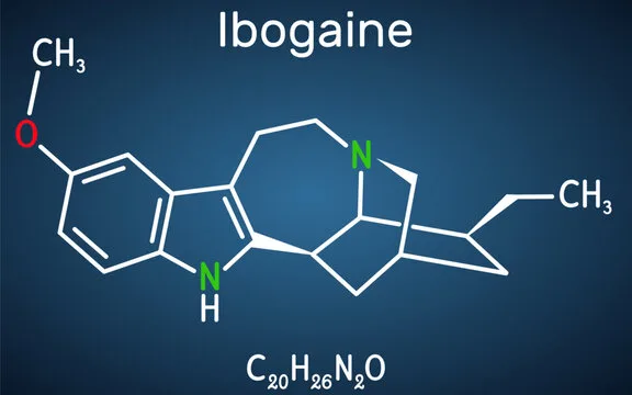 Ibogaine is primarily studied today for its potential in treating what condition?